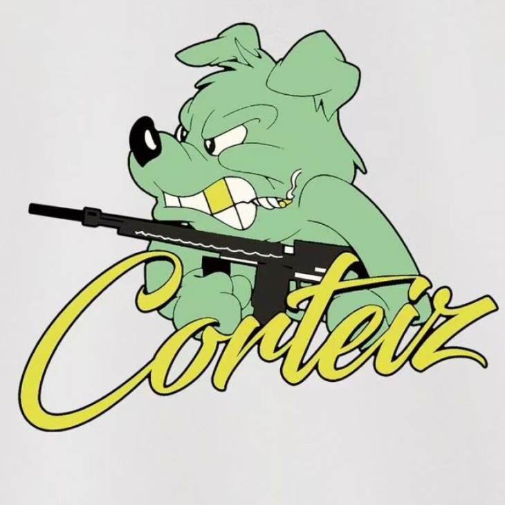 Corteiz Hoodies _SKUCorteizS-2XLastxC20542316